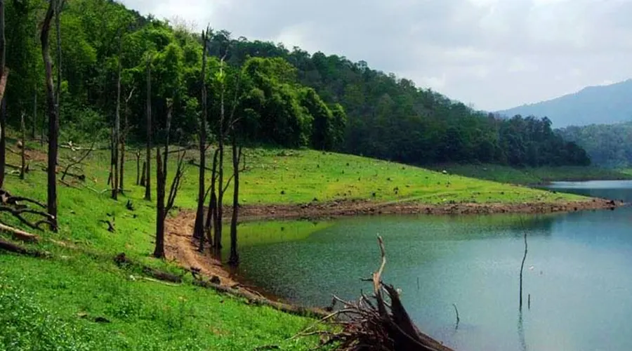 Chimmini Wildlife Sanctuary